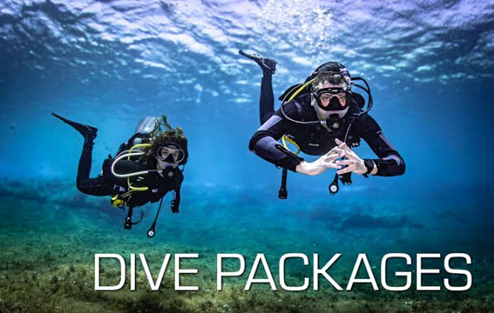Diving Offers
